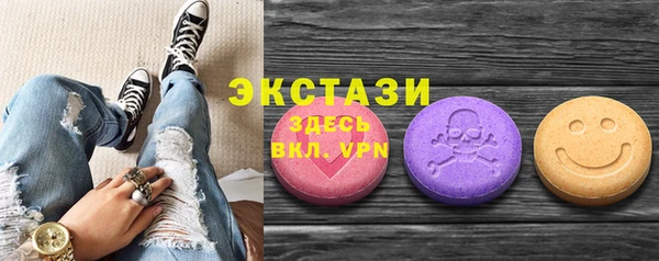 шишки Магас