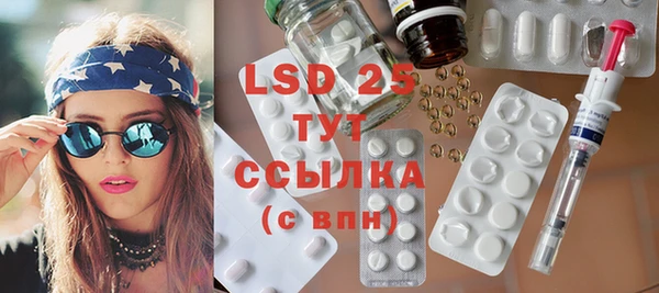 гидра Липки