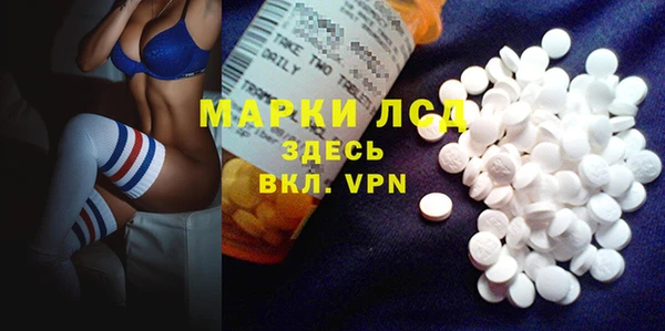 гидра Липки